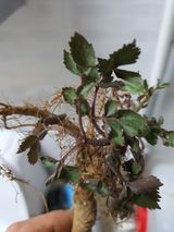 팜모닝 자유주제·자유게시판 게시글 이미지