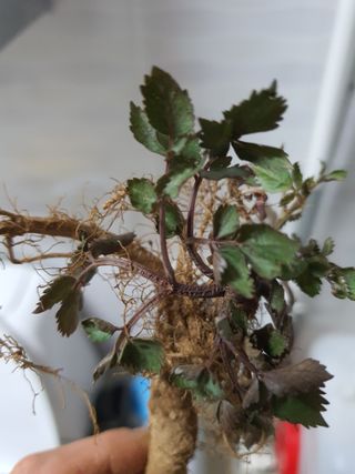 여농님의 자유주제 · 자유게시판 작성글 사진