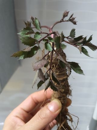 여농님의 자유주제 · 자유게시판 작성글 사진