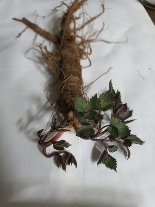 여농님의 자유주제 · 자유게시판 작성글 사진