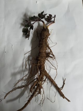 여농님의 자유주제 · 자유게시판 작성글 사진