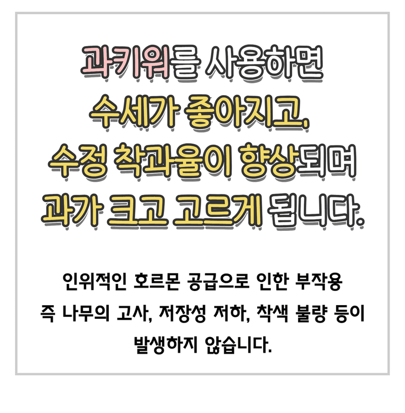 삼익농자재님의 장터 판매 상품 [[도프] 과키워 1L/4L 과일비대제 동물성아미노산 감 사과 귤 블루베리 등 전작물 추천] 첨부 사진