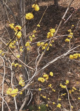 나도바랭이님의 자유주제 · 자유게시판 작성글 사진