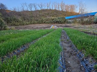 최종범님의 자유주제 · 자유게시판 작성글 사진