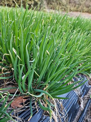 최종범님의 자유주제 · 자유게시판 작성글 사진