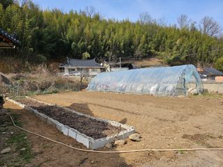 가이드님의 기타작물 · 영농일지 작성글 사진