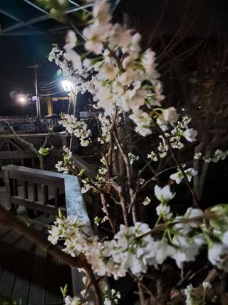 양전호님의 자유주제 · 자유게시판 작성글 사진