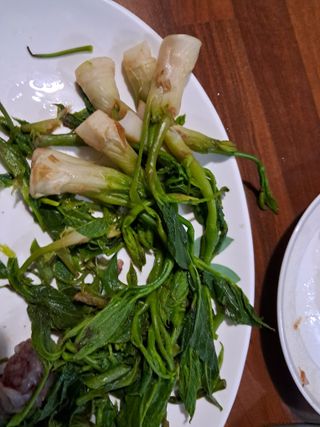 양전호님의 자유주제 · 자유게시판 작성글 사진