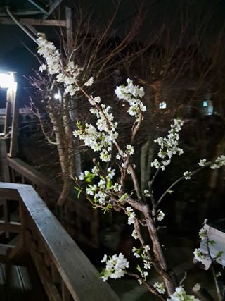 양전호님의 자유주제 · 자유게시판 작성글 사진