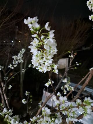 양전호님의 자유주제 · 자유게시판 작성글 사진