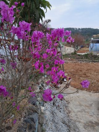 양전호님의 자유주제 · 자유게시판 작성글 사진