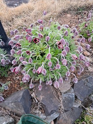 양전호님의 자유주제 · 자유게시판 작성글 사진