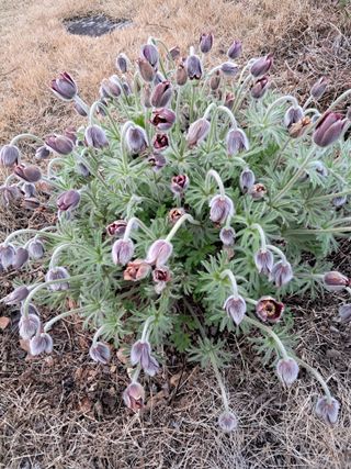 양전호님의 자유주제 · 자유게시판 작성글 사진