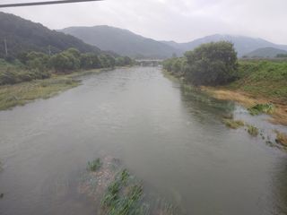 농부회장님의 벼 · 자유게시판 작성글 사진