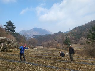 장봉덕님의 기타작물 · 영농일지 작성글 사진