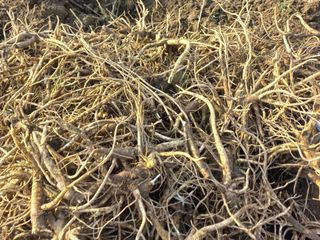 정종희님의 작성글 사진