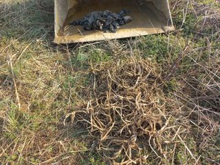 정종희님의 작성글 사진