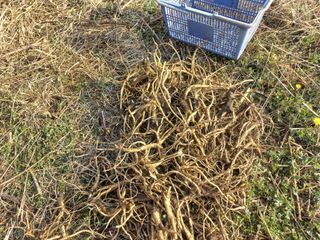 정종희님의 작성글 사진