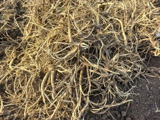 정종희님의 작성글 사진