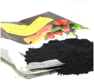 대산농사대장님의 양파 · 자유게시판 작성글 사진