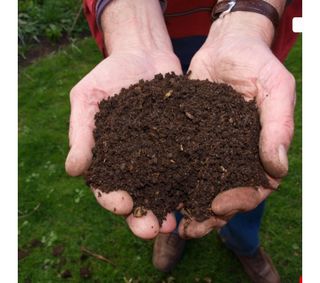 대산농사대장님의 양파 · 자유게시판 작성글 사진
