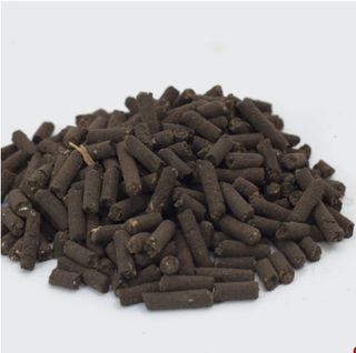 대산농사대장님의 양파 · 자유게시판 작성글 사진