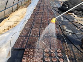 설악곰님의 호박 · 영농일지 작성글 사진