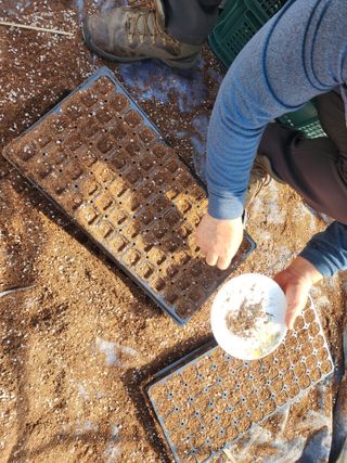 설악곰님의 호박 · 영농일지 작성글 사진