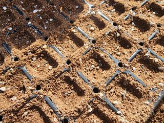 설악곰님의 호박 · 영농일지 작성글 사진