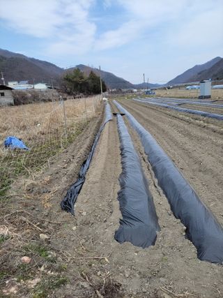 우영옥님의 자유주제 · 자유게시판 작성글 사진