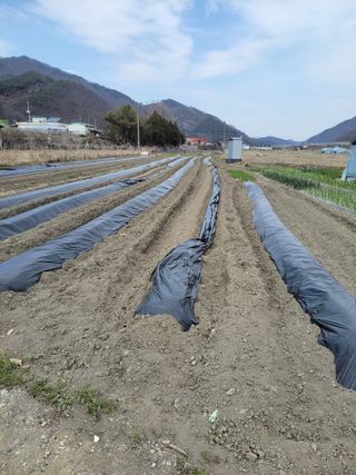 우영옥님의 자유주제 · 자유게시판 작성글 사진