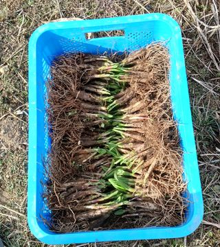 황덕순 님의 자유주제 · 자유게시판 작성글 사진