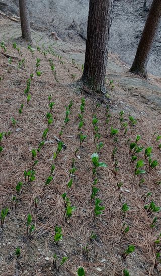 황덕순 님의 자유주제 · 자유게시판 작성글 사진