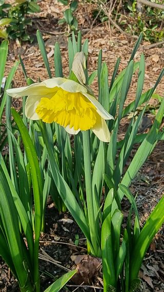 푸른꿈님의 자유주제 · 자유게시판 작성글 사진