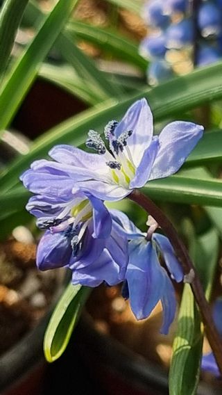 푸른꿈님의 자유주제 · 자유게시판 작성글 사진