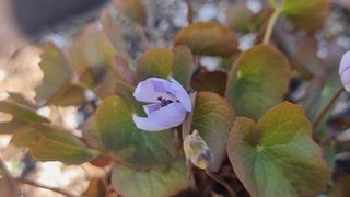 푸른꿈님의 자유주제 · 자유게시판 작성글 사진