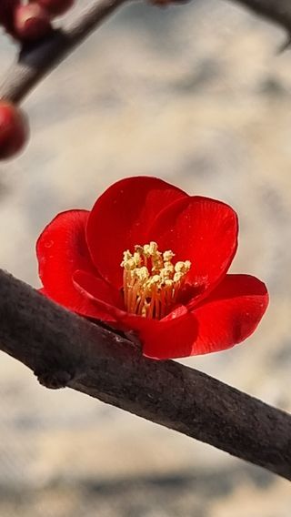 푸른꿈님의 자유주제 · 자유게시판 작성글 사진