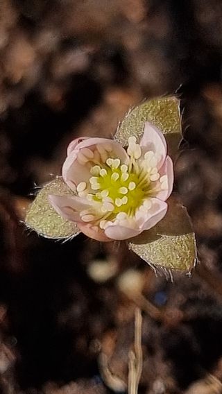 푸른꿈님의 자유주제 · 자유게시판 작성글 사진