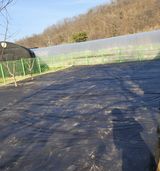 팜모닝 자유주제·자유게시판 게시글 이미지