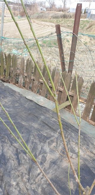 박선화님의 자유주제 · 자유게시판 작성글 사진