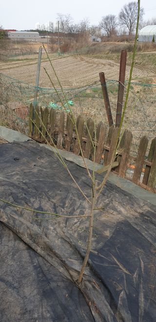 박선화님의 자유주제 · 자유게시판 작성글 사진