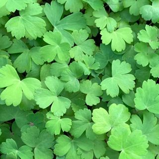 이기자원예종묘님의 작성글 사진