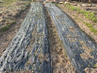 도곡님의 자유주제 · 자유게시판 작성글 사진