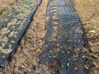 도곡님의 자유주제 · 자유게시판 작성글 사진