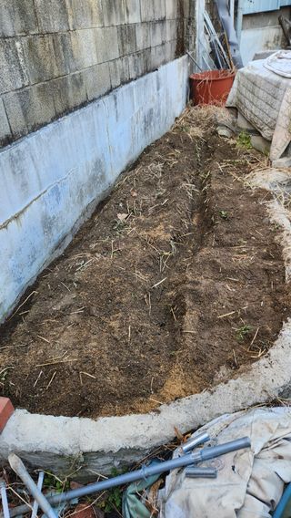 협진산업님의 고추 · 영농일지 작성글 사진