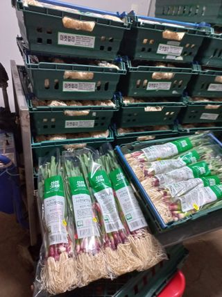 대원농장님의 마늘 · 일상 작성글 사진