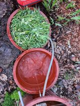 팜모닝 자유주제·자유게시판 게시글 이미지