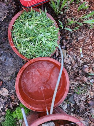 노아마님의 자유주제 · 자유게시판 작성글 사진