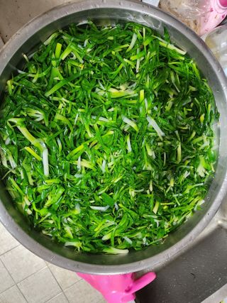 노아마님의 자유주제 · 자유게시판 작성글 사진