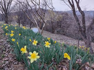 노아마님의 자유주제 · 자유게시판 작성글 사진